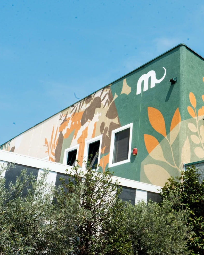 Il Mammut Store