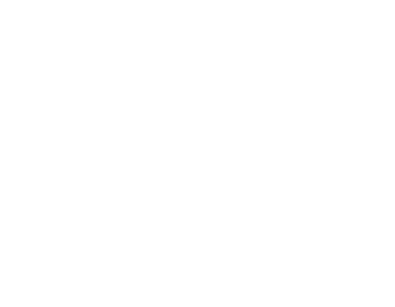 Mammut Store